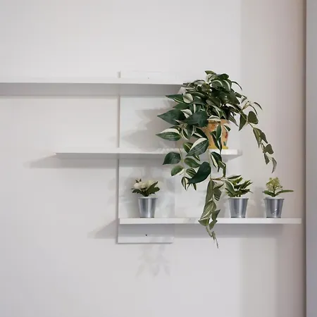 A Casa Di Di